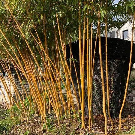 Eco Maison Entiere Avec Terrasse Dans Jardin Potager Piscine Parking Vakantiehuis *