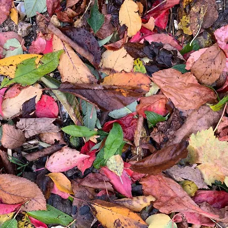 Hébergement de vacances Eco Maison Entière Avec Terrasse Dans Jardin Potager Piscine Parking *