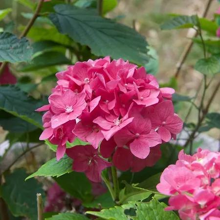 Eco Maison Entiere Avec Terrasse Dans Jardin Potager Piscine Parking Dom wakacyjny *