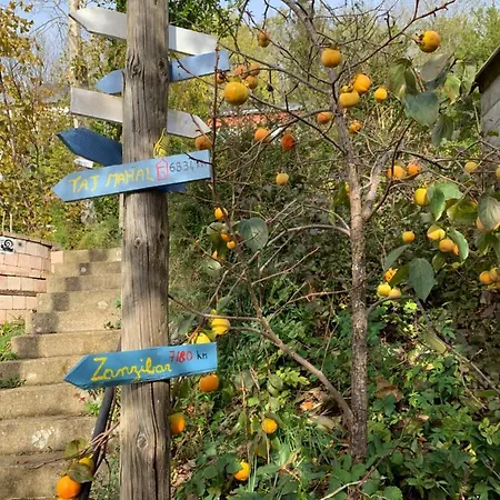 Prázdninový dům Eco Maison Entiere Avec Terrasse Dans Jardin Potager Piscine Parking Rouen