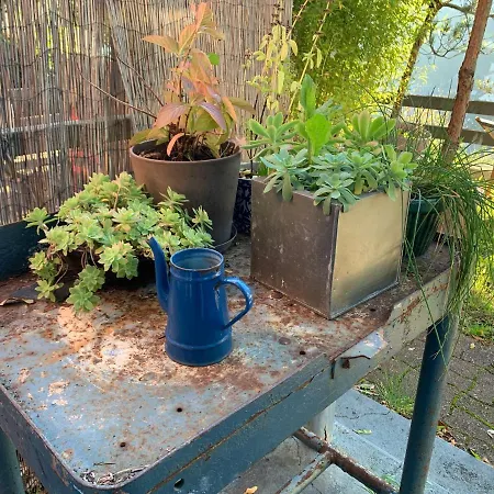 Eco Maison Entiere Avec Terrasse Dans Jardin Potager Piscine Parking * Rouen