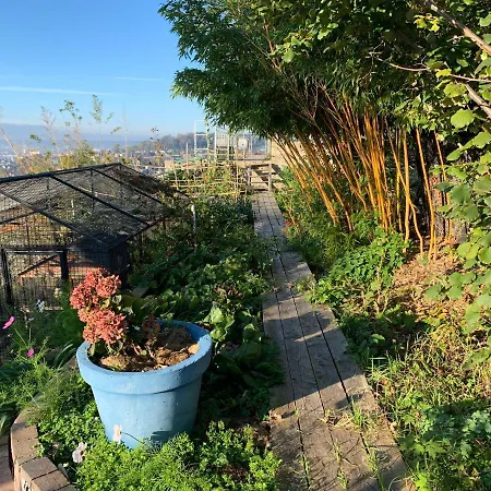 Eco Maison Entière Avec Terrasse Dans Jardin Potager Piscine Parking *