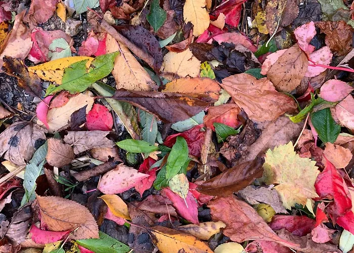 度假居 Eco Maison Entiere Avec Terrasse Dans Jardin Potager Piscine Parking *
