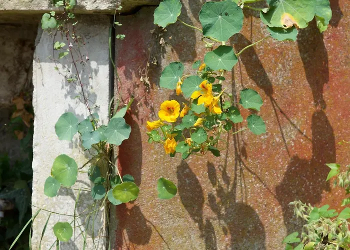 度假居 Eco Maison Entiere Avec Terrasse Dans Jardin Potager Piscine Parking *