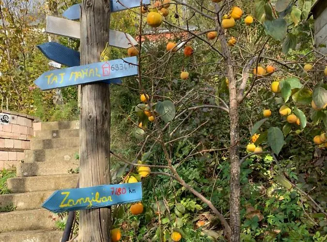 度假居 Eco Maison Entiere Avec Terrasse Dans Jardin Potager Piscine Parking 鲁昂