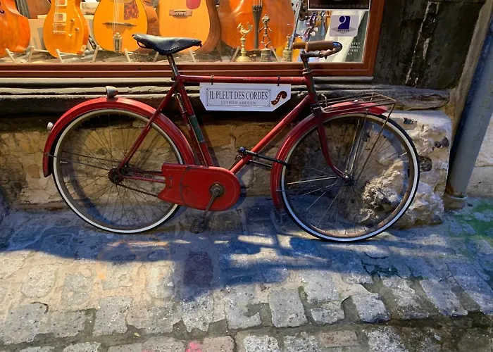 Eco Maison Entiere Avec Terrasse Dans Jardin Potager Piscine Parking * 鲁昂