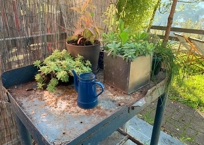 Eco Maison Entiere Avec Terrasse Dans Jardin Potager Piscine Parking * 鲁昂